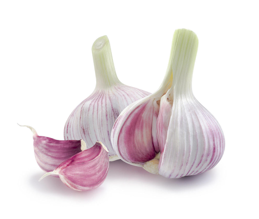 garlic-for-hemorrhoids-forum